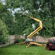 Lawn Grading and Leveling in Wrightsville, PA